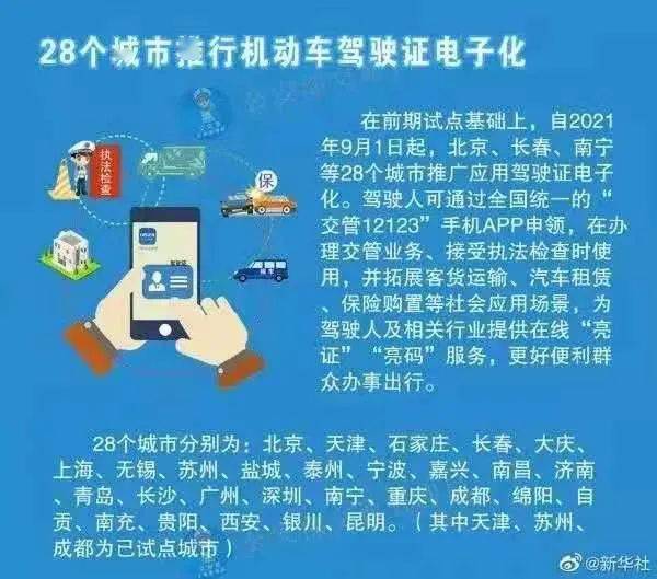 管家婆100期期中管家，实时解答解释落实的策略与重要性
