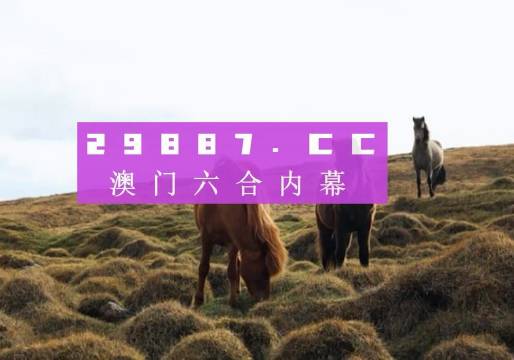 关于香港内部最准的一肖一码与实时解答解释的探讨