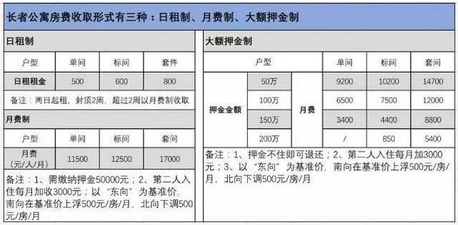 一码一肖，揭秘背后的秘密与解答落实策略