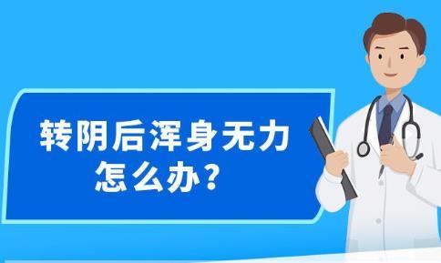 新澳精准资料免费提供最新版，深度解答解释与落实