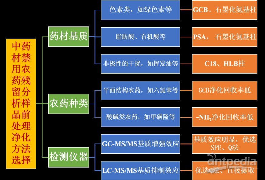 澳门王中王六码新澳门，专家解答解释与实际应用探讨