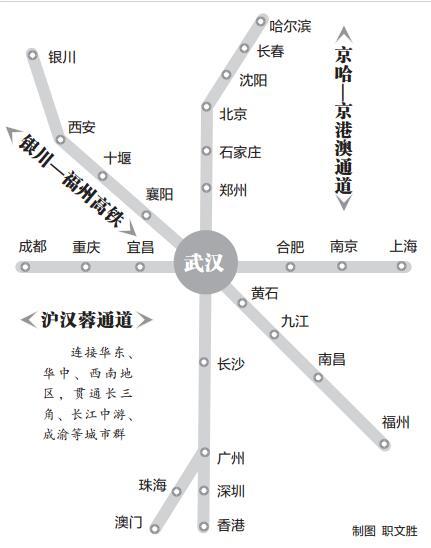 澳门未来展望，2025年天天有好彩的全面解读与实施策略