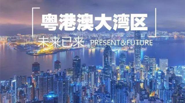 探索澳门与香港的新资料，如何查找正版免费资源