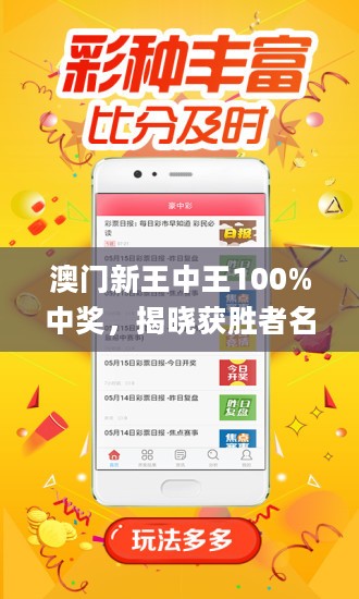 新澳门王中王100期期中，全面释义与最佳精选策略