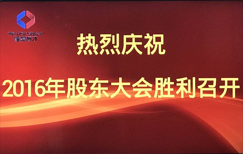 王中王一肖一中一特一中2025，细化任务落实的高效版战略