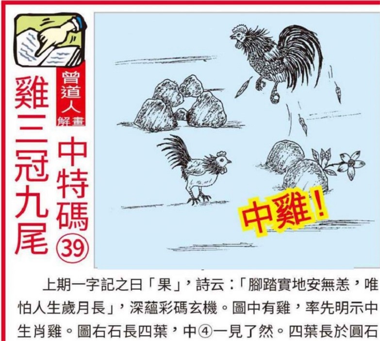 新奥正版资料大全精选解析落实——迈向未来的关键步骤（2025年视角）