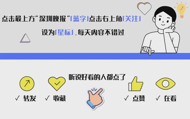 一码一肖期期公开中特，深度解答解释落实之道