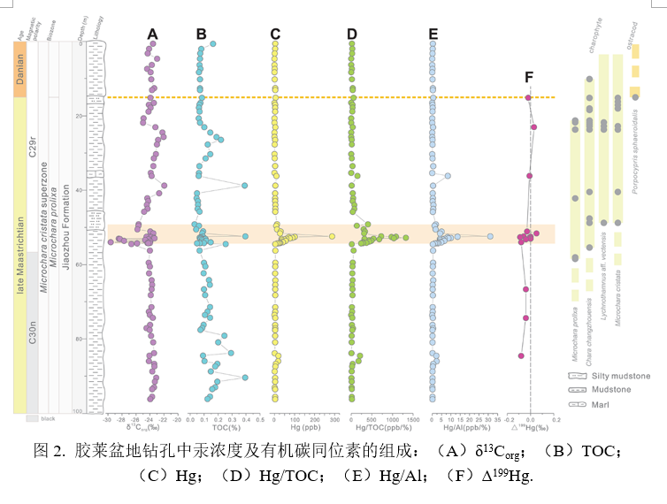 白小姐今晚特马期期准六，前沿解答、解释与落实