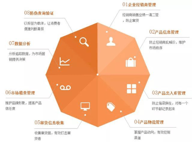一码一肖，精准预测与实时解答，助力你的决策之路