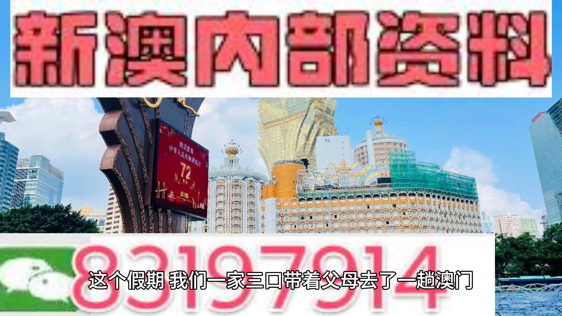 新澳门今晚必开一肖一特深度解析与解读落实策略