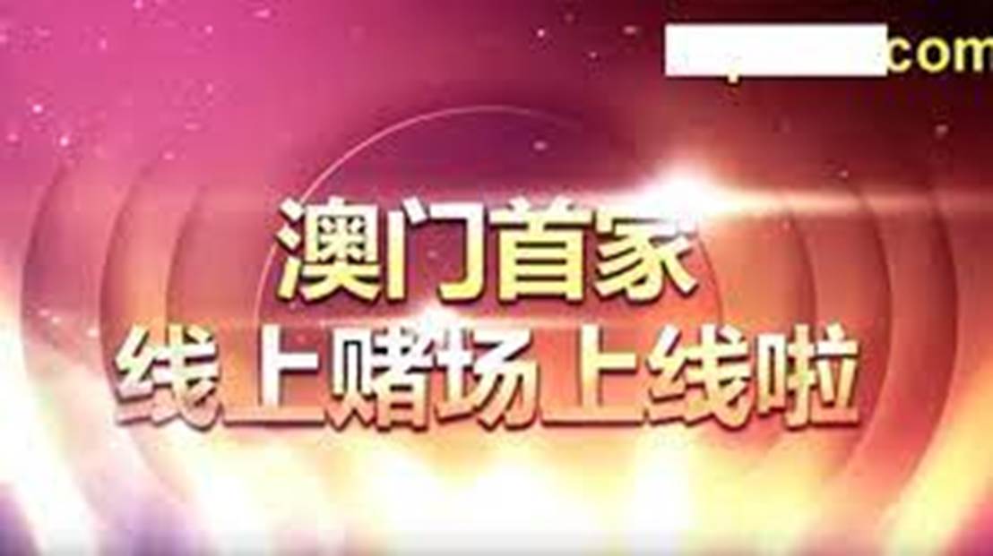 新澳门天天开好彩，综合解答解释落实的未来展望