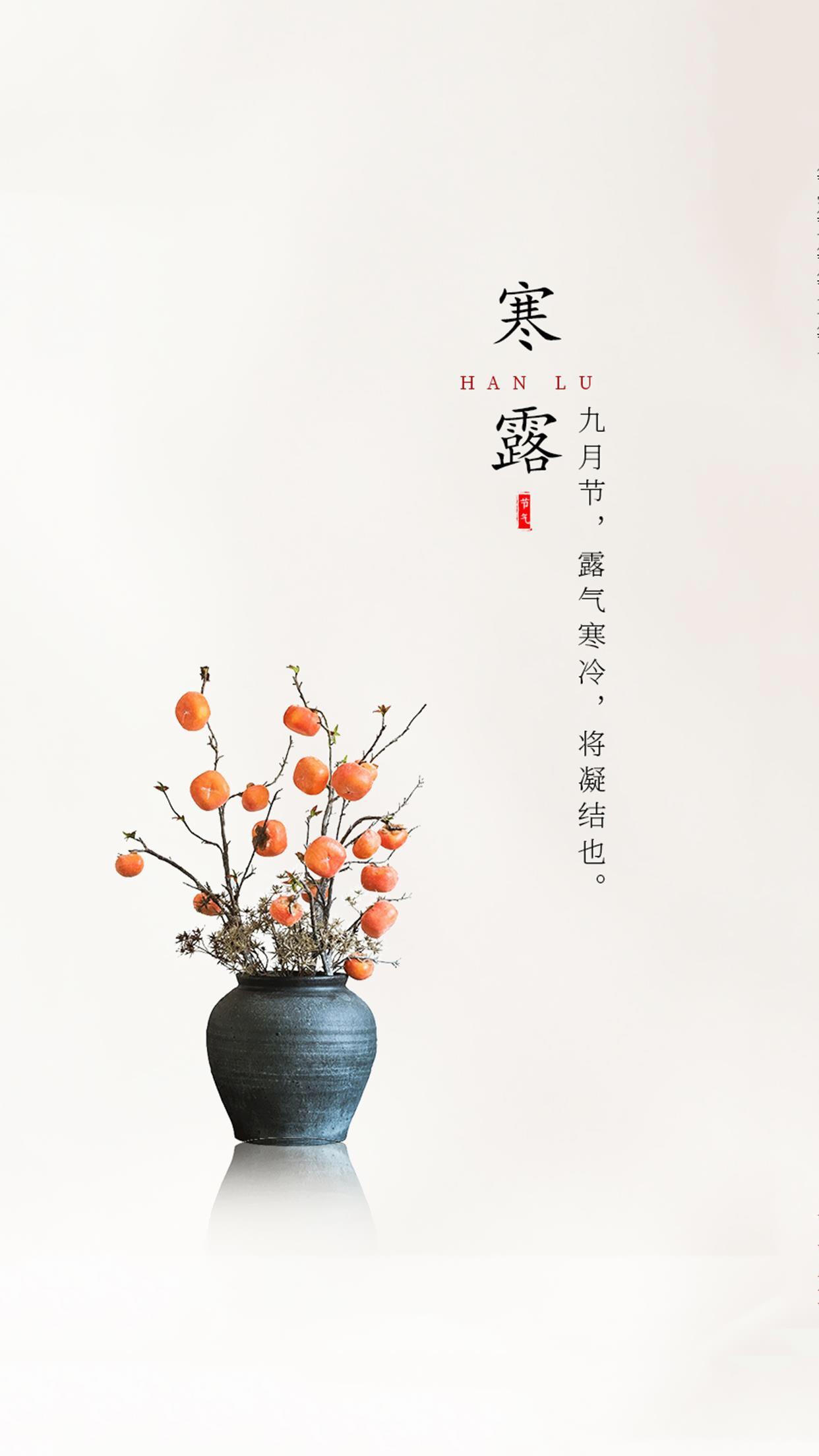 关于二十四节气天天彩免费资料大全与精准解答解释落实的探索
