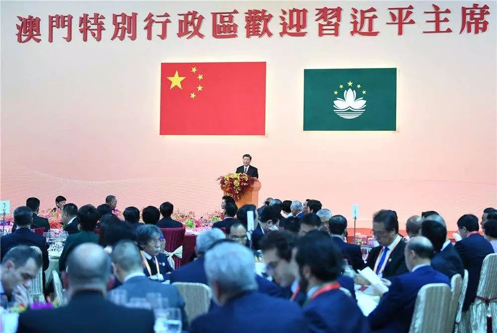 澳门今晚一肖必中特，深度解读与解释落实的探讨