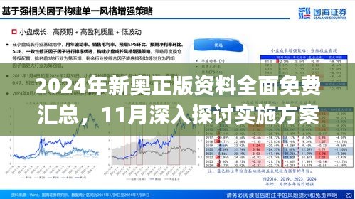 新澳2025精准正版免费资料解析与落实策略