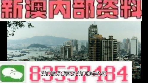 新澳门内部一码精准公开，探寻好运的秘密之旅