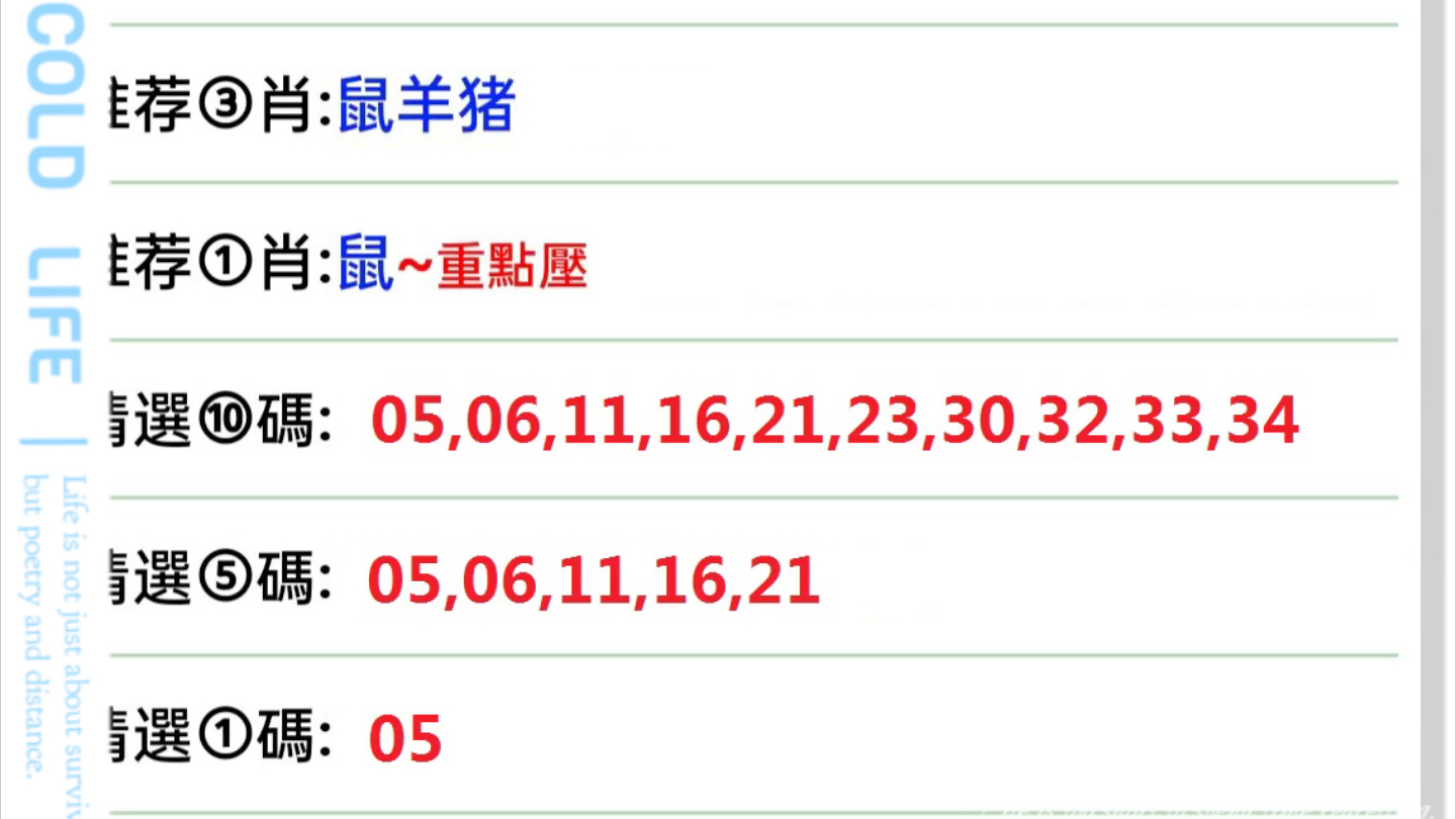 澳门今晚必开的生肖，实用释义与落实解析