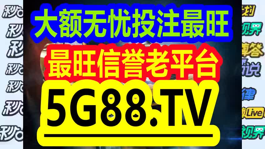 管家婆一码一肖，全面释义、解释与落实