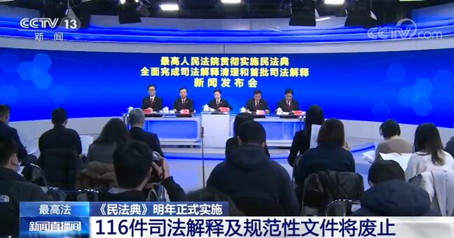 一肖一码一一肖一子，全面释义、解释与落实