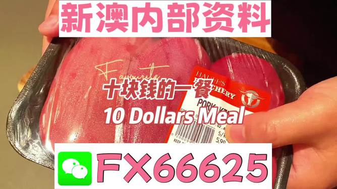 关于新澳精准资料免费提供网站及其时代解答解释落实的研究
