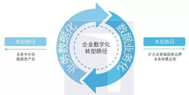 深度解析，关于新奥精准资料免费大全的解答与落实策略（第078期）