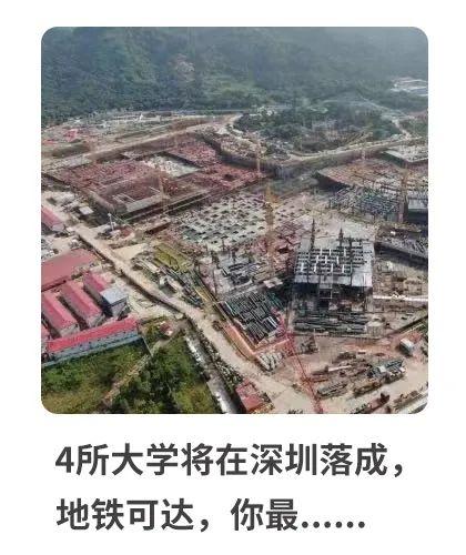 精准三肖三码三期闪必开凤凰网，构建解答解释落实的策略