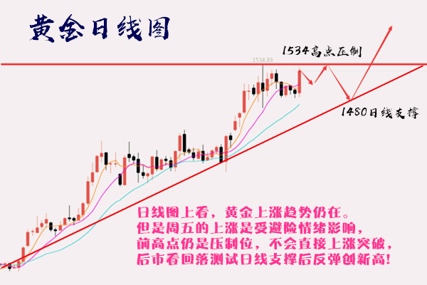 探索数字之谜，解析关键词555525王中王四肖与统计解答落实过程
