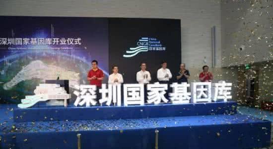 解读与落实，关于澳门与香港正版免费资本车的全面释义与探索