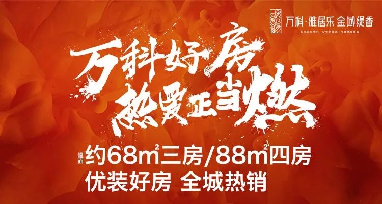 新奥天天免费资料单双动态释义、解释与落实