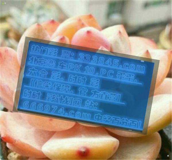 关于管家婆一码一肖与中奖解析及落实方案_czm01