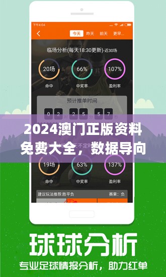 澳门正版免费资料的探索与统计解答解释落实的重要性