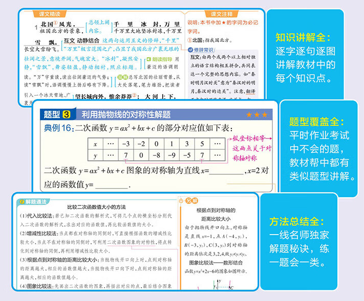 王中王精准资料期期中澳门高手，精准解答、深度解释与有效落实