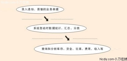 关于管家婆白小姐四肖四码，全面释义解释与落实展望
