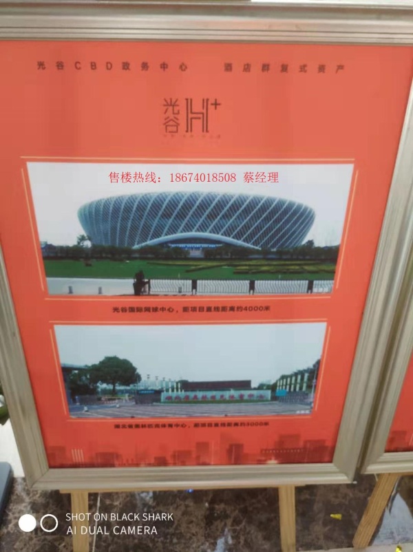 创新技术揭秘，澳门三肖三码精准解密——解密背后的真相与探索未来趋势