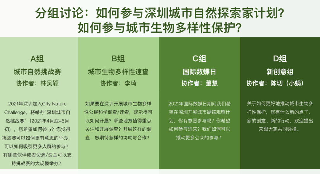 澳门一码一肖一特一中，公开性与参考价值的探讨
